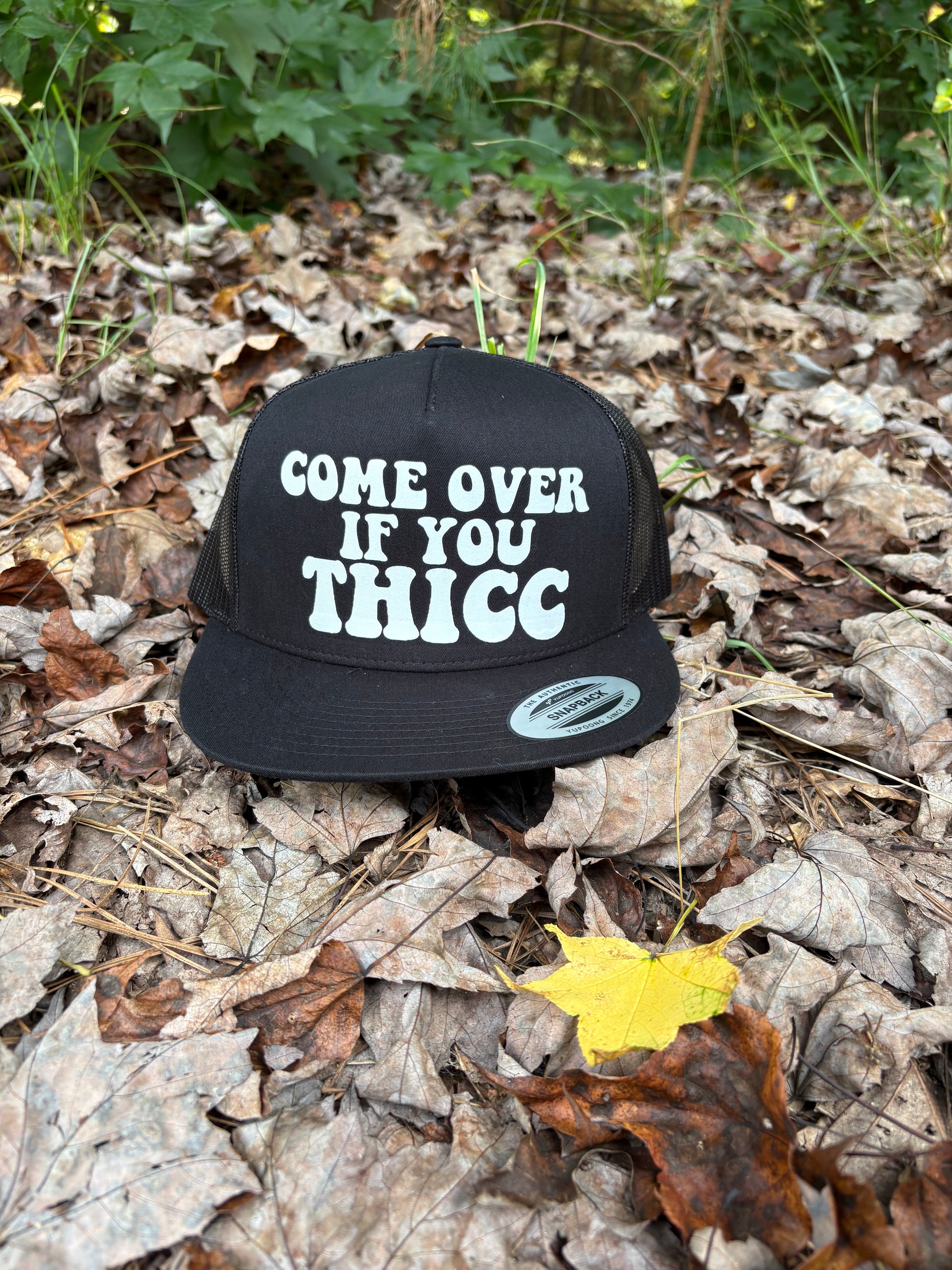 Come over if you thicc snapback
